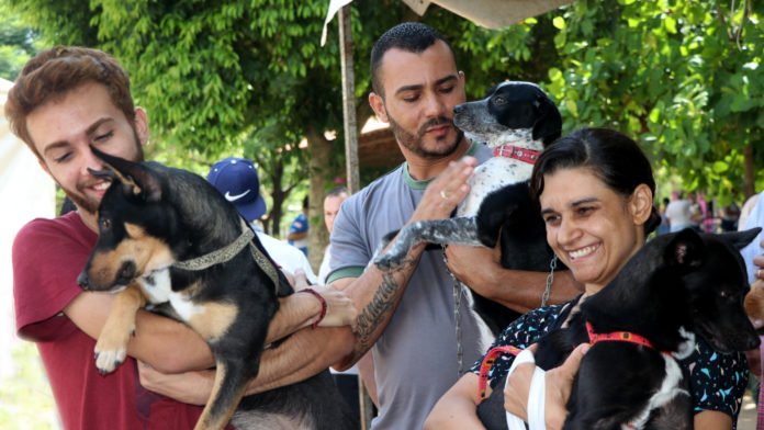 jornal barueri site (5)