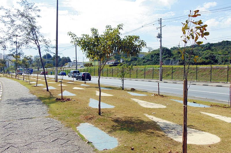 Adoção praças e áreas verdes