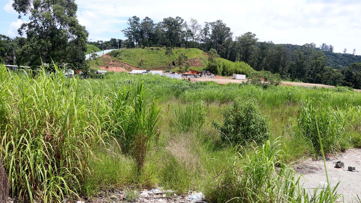jornal barueri site (4)