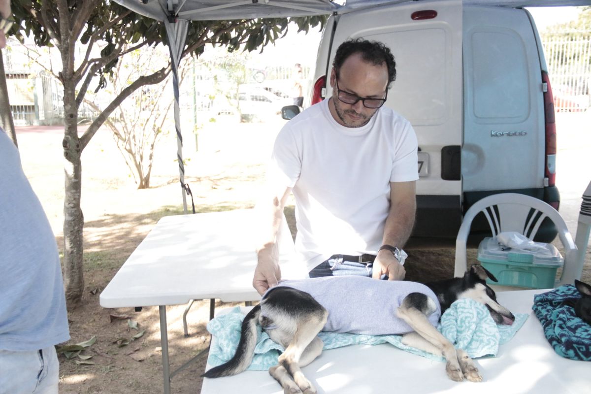 Castração de PET