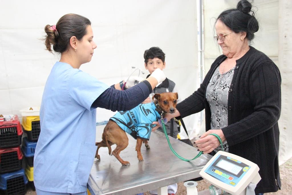 agendamento-para-castracao-de-pets-acontece-no-final-de-janeiro-0