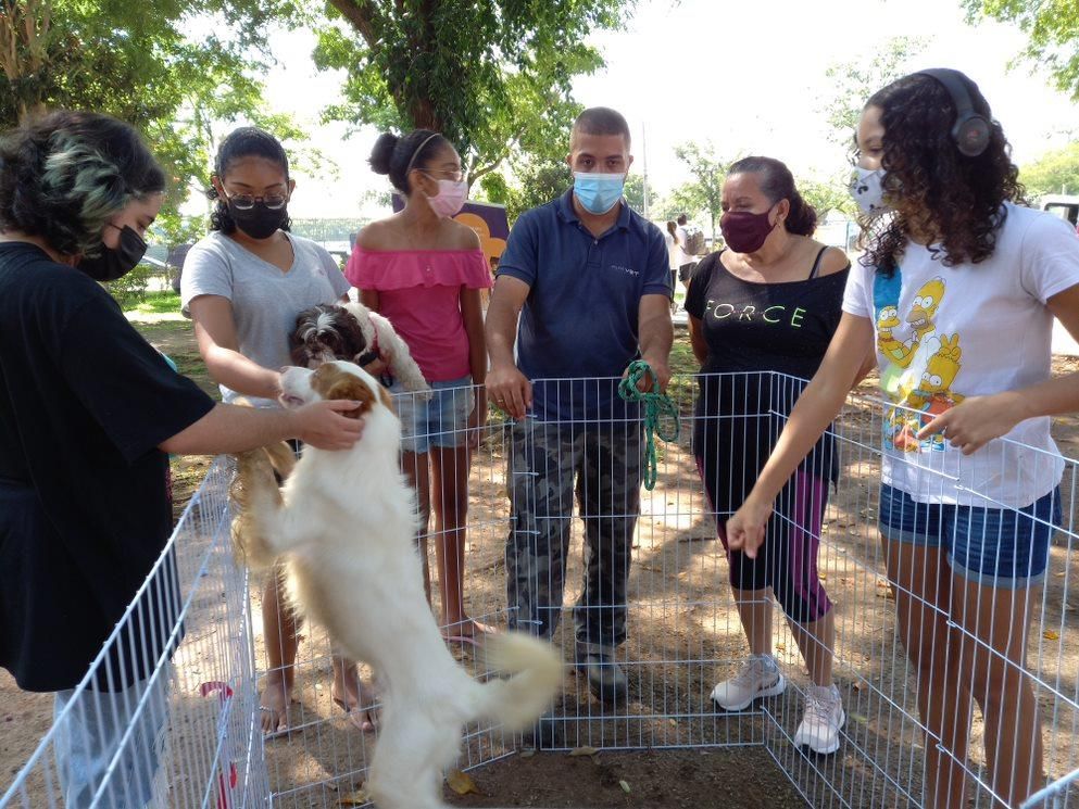 Dia Animal Barueri