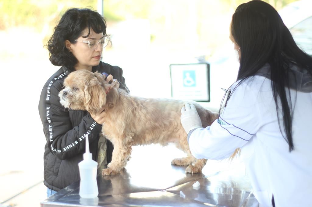 mudança posto vacinação pets barueri