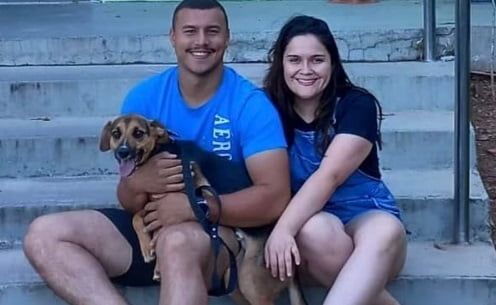 adoção pets barueri