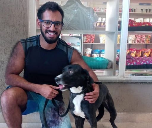 adoção de animais Barueri