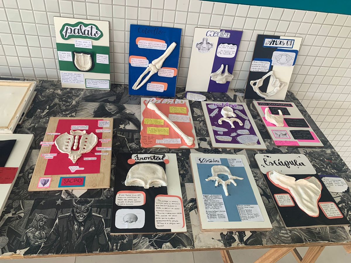 ETEC de Barueri realiza Feira de Anatomia e Fisiopatologia em maio
