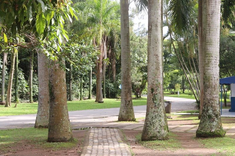 fotografia concurso paisagens barueri