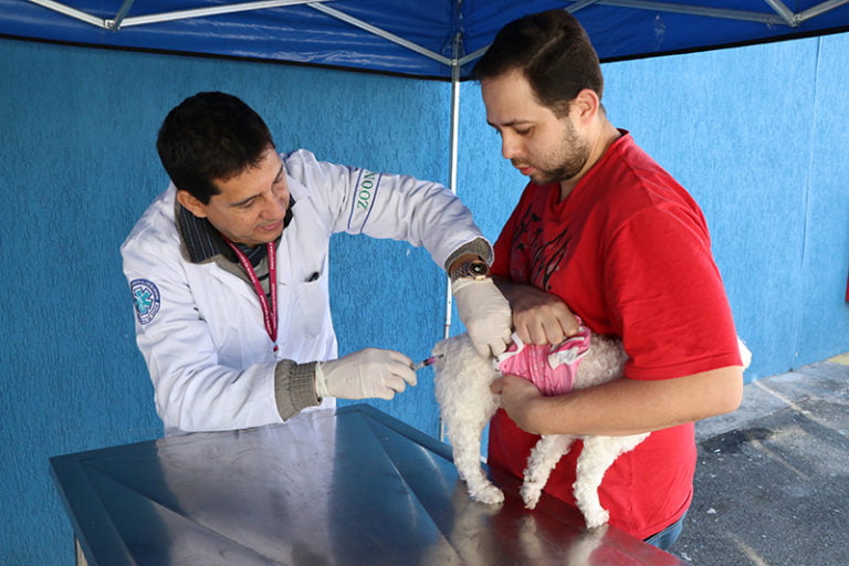 Em Barueri, vacinação contra a raiva segue até o dia 29