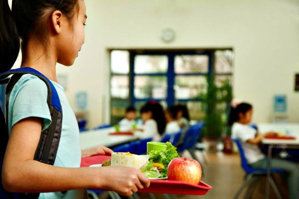 child-school-lunch-455188015