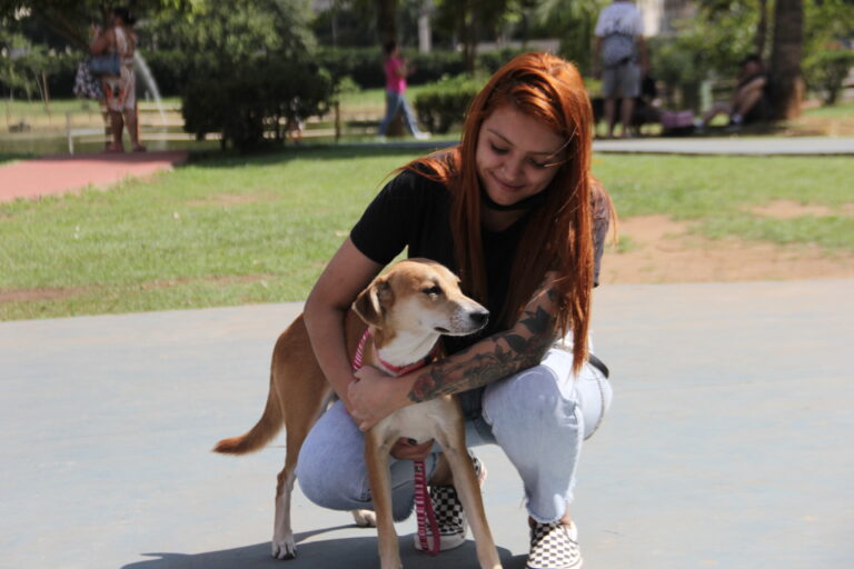 Sábado é dia de Feira de Adoção de Cães no Parque Municipal de Barueri