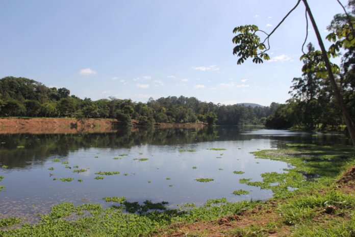 Lagoa Parque Ecológico de Barueri