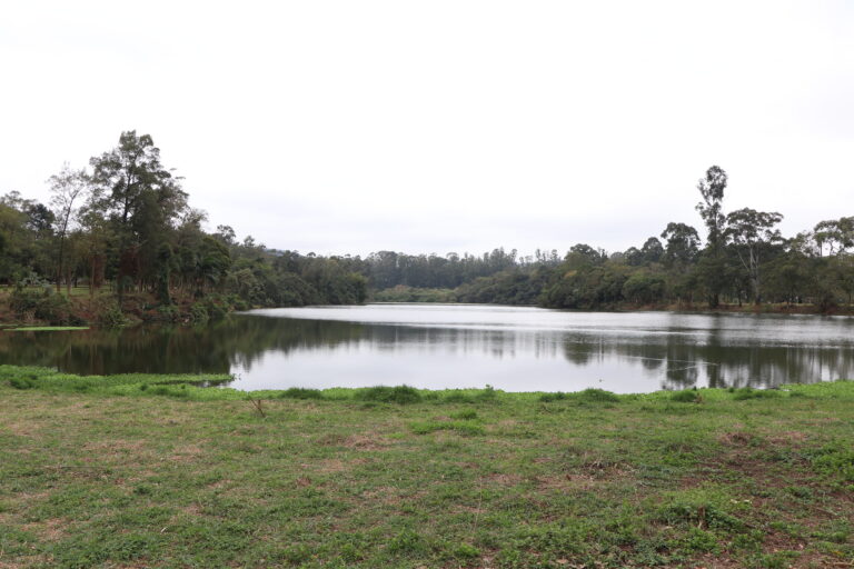 Lago do Parque Ecológico de Barueri passa por recuperação e local receberá pista de caminhada