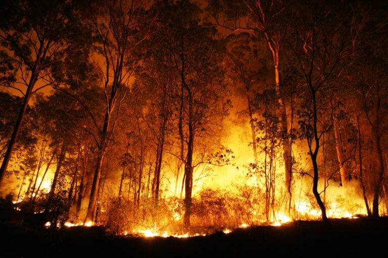 Com tempo seco, Barueri anota 34 incêndios em mata