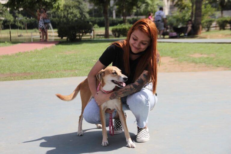 Feira de Adoção de Cães acontece neste fim de semana no Parque de Barueri