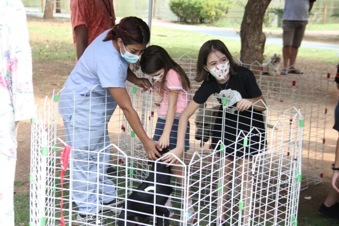 feira adoção de cães barueri