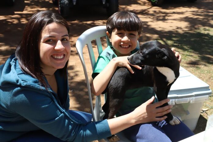 feira de adoção de cães barueri