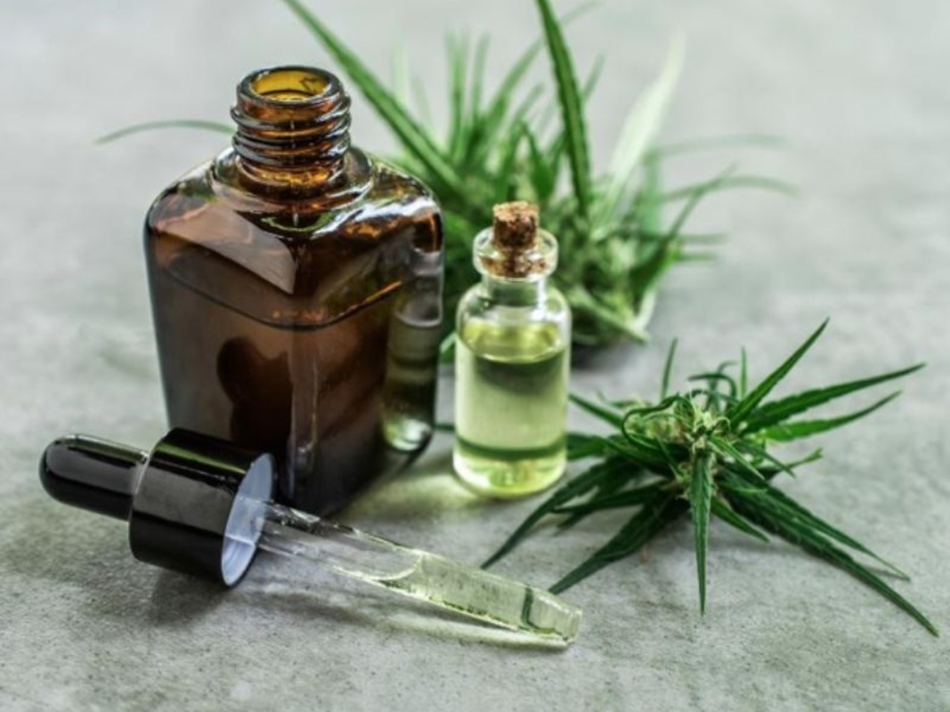 Instituto Maple facilita tratamentos com cannabis